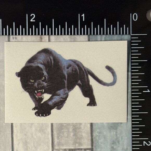 ๐10/$10๐ Classic Vicious Cats Lion Tiger Cheetah Reusable Washi Sticker Decal - Picture 1 of 1